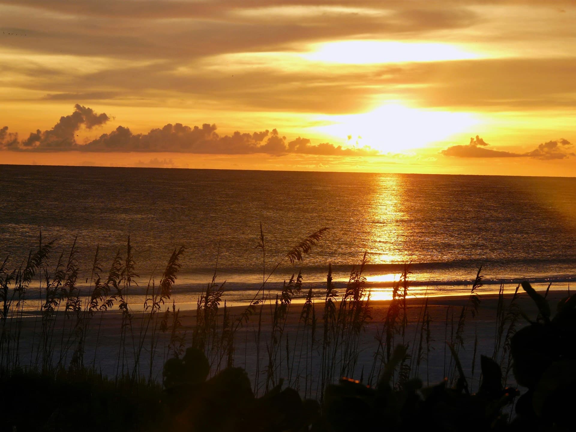 Gulf of Mexico coastline near Tampa Bay